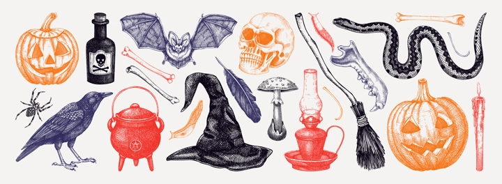 Halloween vector hand-drawn illustrations set. Skull, bones, potions, pumpkin head, poisonous mushrooms, snakes, raven sketches. Halloween design elements. Party invitation, print, banner, flyer